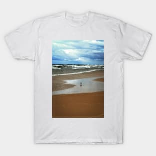 Lone Gull T-Shirt
